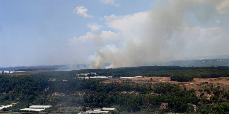 Antalya'nın Aksu ilçesinde orman yangını
