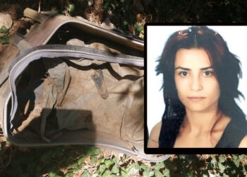 Zeynep Söğüt davasında yargılama yeniden başladı
