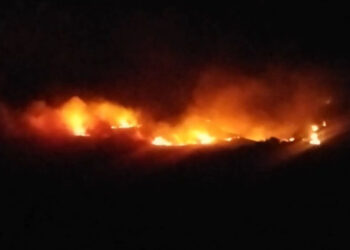 Tunceli'de çıkan örtü yangını söndürüldü