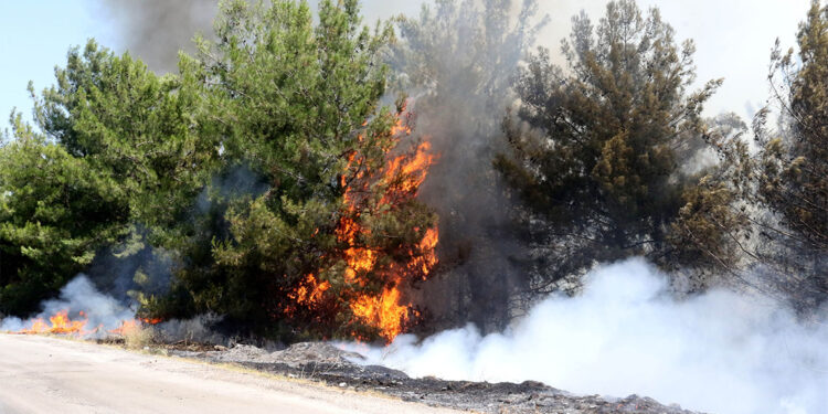 Antalya'nın Aksu ilçesinde orman yangını