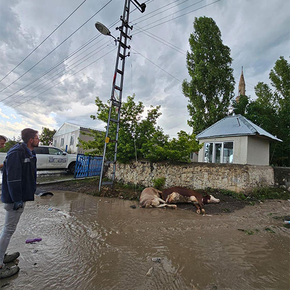 Kars'ta fırtına ve sağanak kentte günlük yaşamı olumsuz etkiledi. Cadde ve sokaklar su birikintileriyle göle dönerken, sürücüler trafikte zor anlar yaşadı.