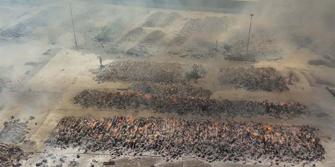 Söke'deki kağıt fabrikası 3 gündür yanıyor