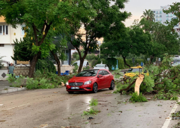 Adana'da sağanak ve fırtına; kule vinç ile ağaçlar devrildi