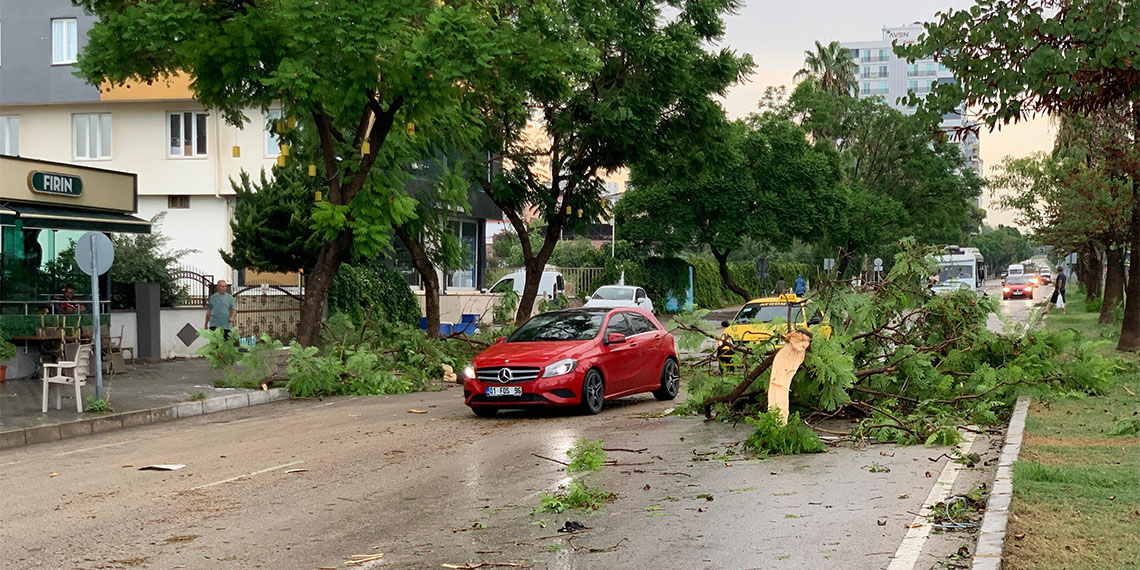 Adana'da sağanak ve fırtına; kule vinç ile ağaçlar devrildi