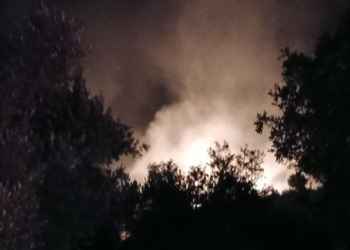 Döşemealtı'nda orman yangını