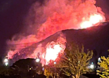 Karaburun gişeleri çıkışında orman yangını