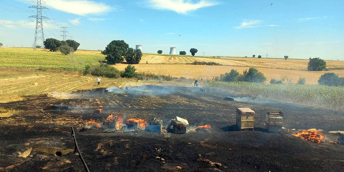 Anız yangında arıların bulunduğu 200 kovan yandı