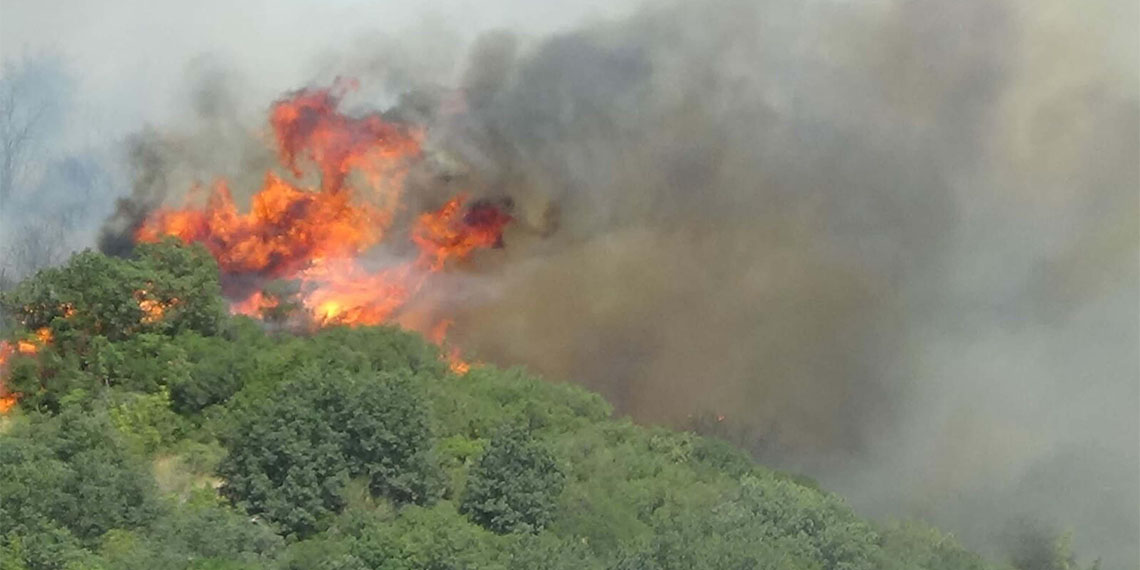 Çanakkale'deki orman yangınında 2'nci gün
