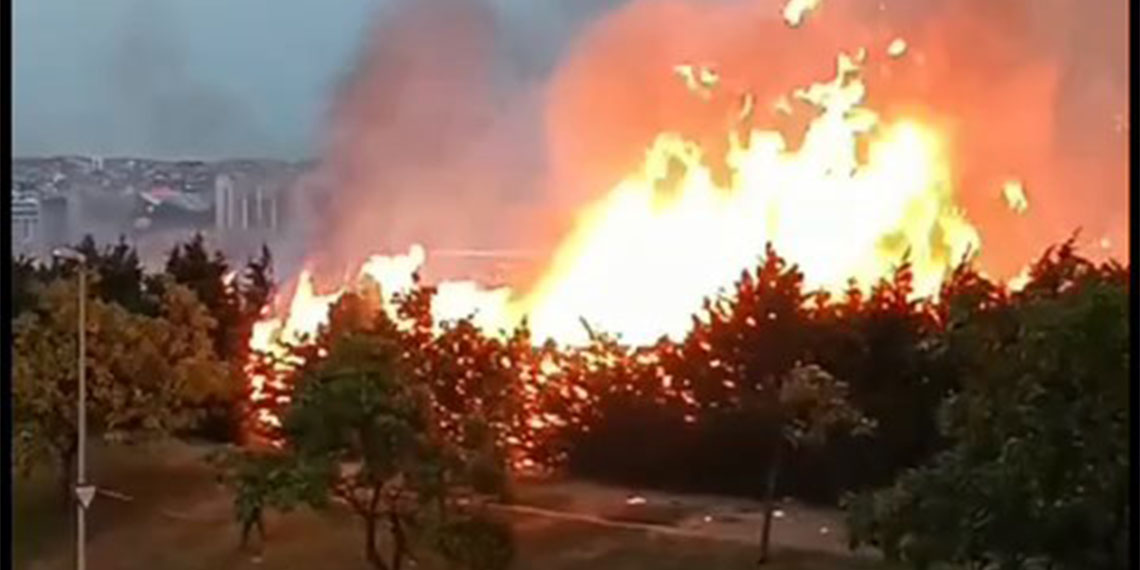 Atatürk Havalimanı'nda otluk alanda yangın