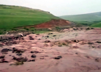 Kars ve Ardahan'da sağanak sonrası tarım arazileri zarar gördü