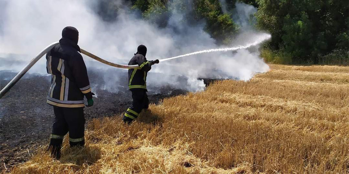 Ukrayna Acil Durumlar Servisi, son 24 saatte ülke genelinde 343 ayrı noktada orman ve çalı yangını çıktığını duyurdu.