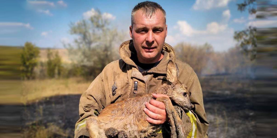 Ukrayna'da 343 ayrı noktada orman ve çalı yangını