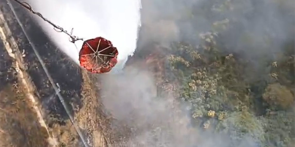 Susurluk'ta orman yangını