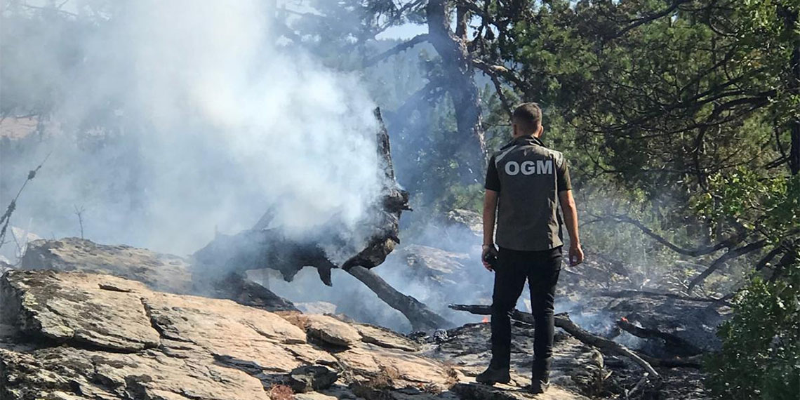 Bolu'da yıldırım düşen ormanda yangın