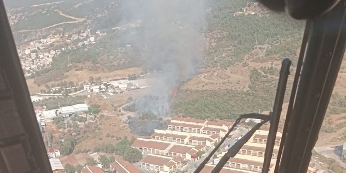 Bornova'da çıkan orman yangını büyümeden söndürüldü