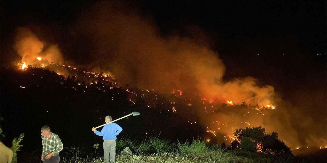 Bingöl'de ormanlık alanda çıkan örtü yangını söndürüldü