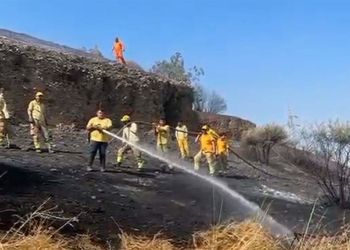 Aydın'da makilik yangını