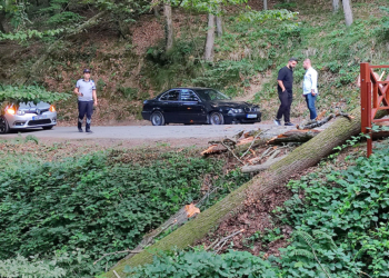 Belgrat Ormanı'nda park halindeki 2 otomobilin üzerine ağaç devrildi