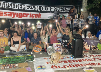 Sokak hayvanlarına ötenazi teklifini protesto ettiler