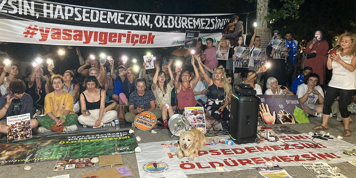 Sokak hayvanlarına ötenazi teklifini protesto ettiler