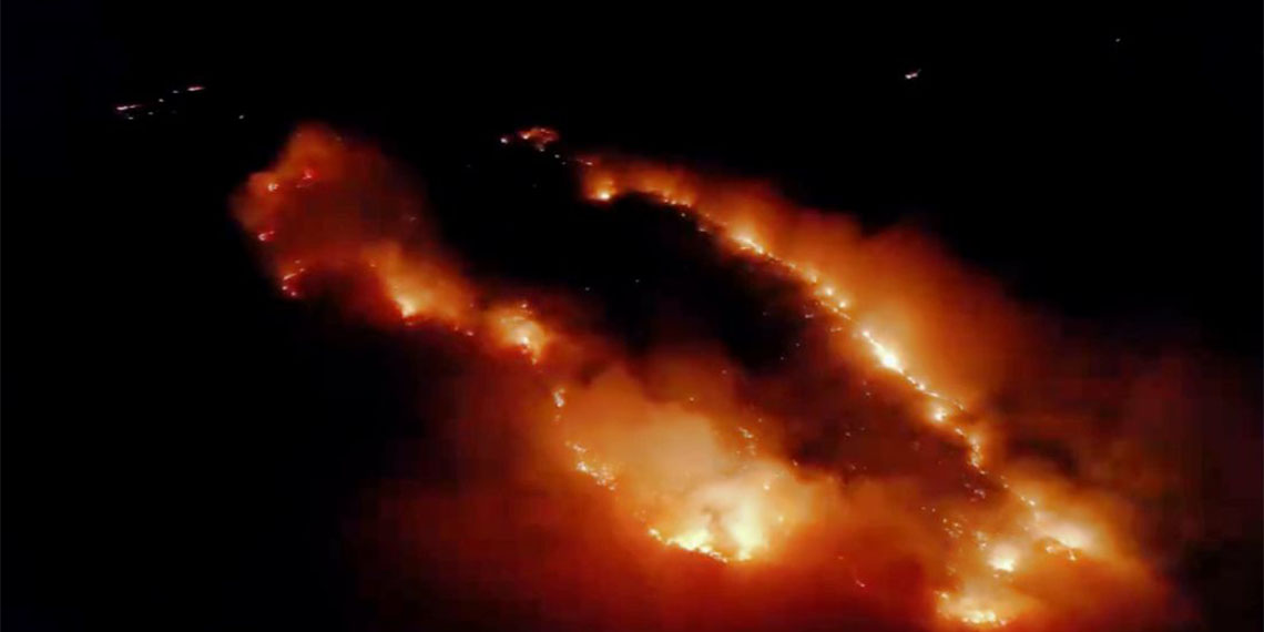 Elazığ'da orman yakınında örtü yangını