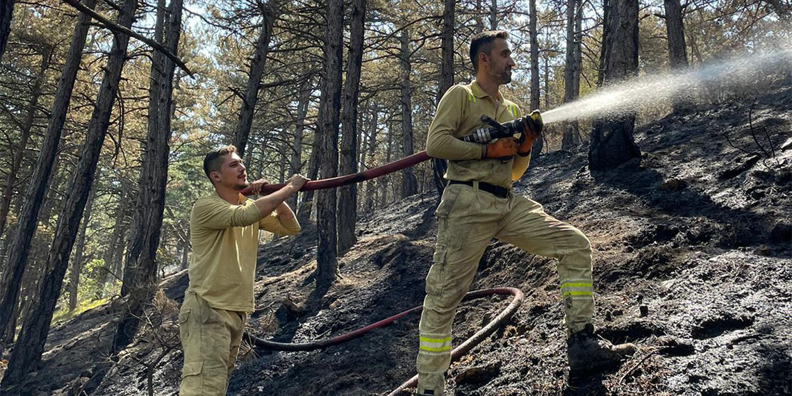 Karabük'te çıkan orman yangınında 12 hektar zarar gördü