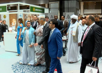 Türk-Sudan İş Forumu İstanbul'da düzenlendi