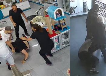 Veterineri darbeden 3 şüpheli bu kez tutuklandı