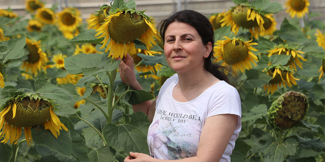 İklim koşulları tüm dünyada bitki göçüne yol açtı