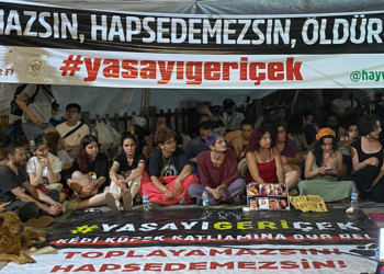 Kuğulu Park'ta toplanan hayvanseverler, sokak hayvanları için sloganlar attı