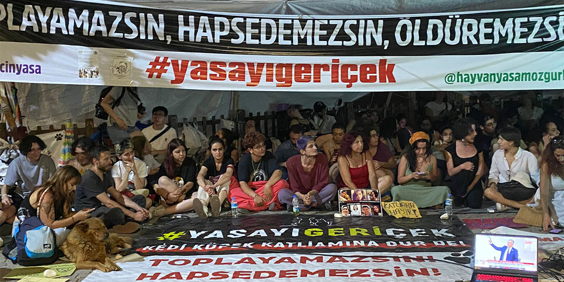 Kuğulu Park'ta toplanan hayvanseverler, sokak hayvanları için sloganlar attı