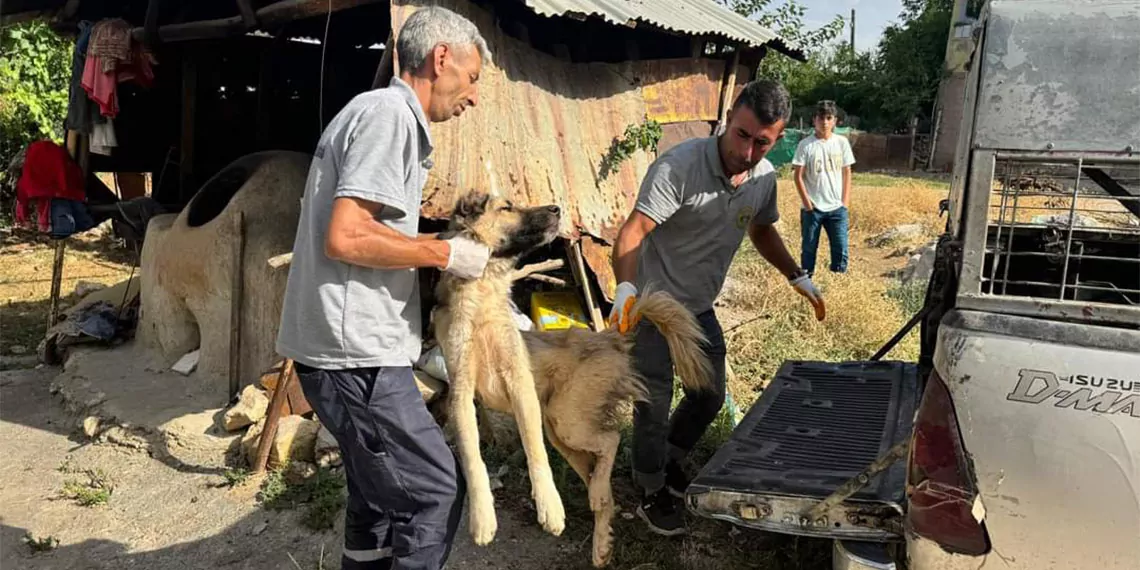 Diyarbakır'da silvan belediyesi sokak köpeklerinin toplanmaya başlandığını duyurdu. Tepkiler üzerine paylaşım geri silindi.