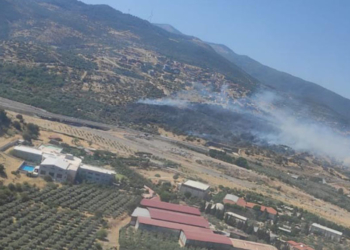 Menemen'de makilik alanda yangın