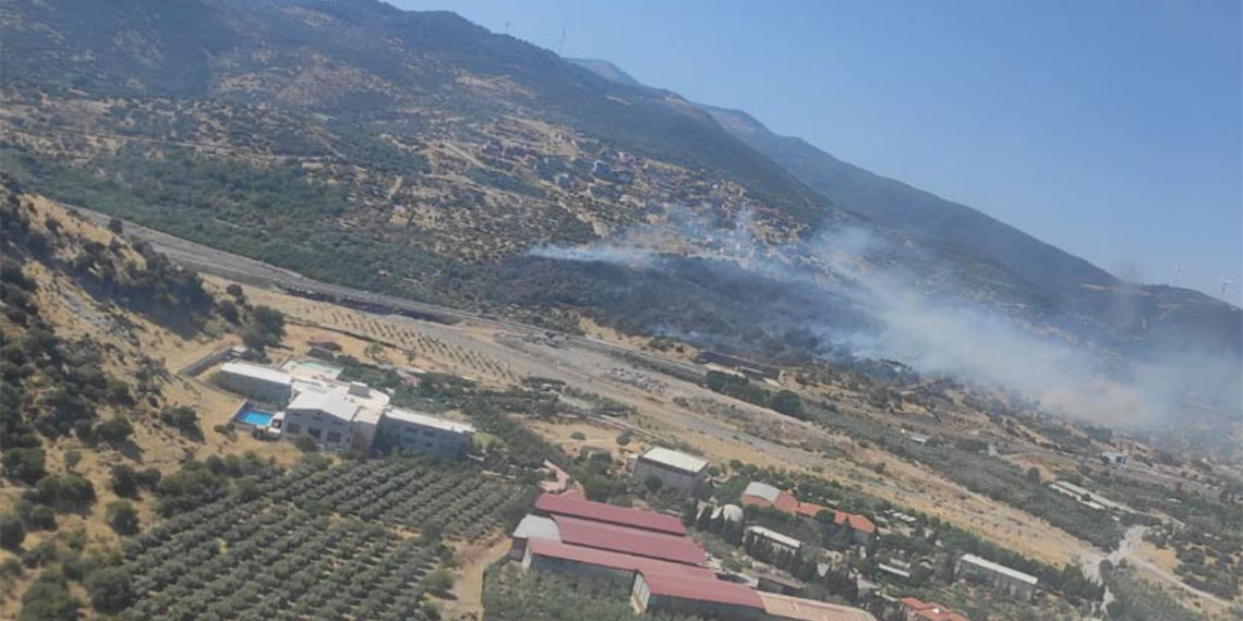Menemen'de makilik alanda yangın