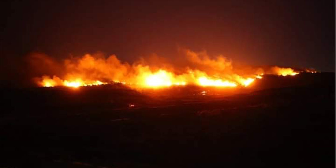 Türkiye'deki orman yangınları için mücadele