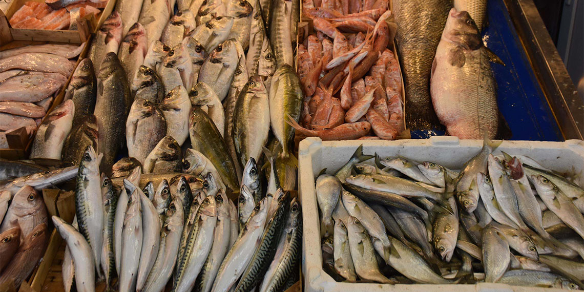 Kuraklık deniz canlılarını olumsuz etkiliyor