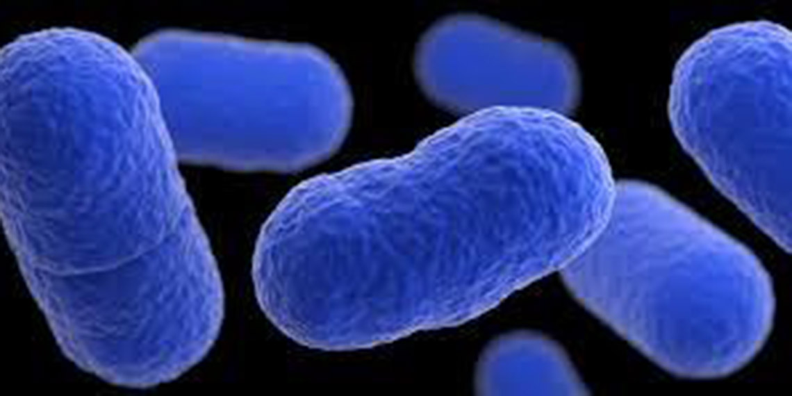 ABD’de listeria bakterisi sebebiyle et ürünleri piyasadan toplatılıyor