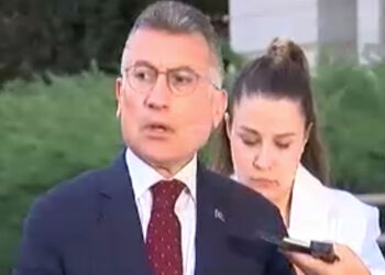Sokak hayvanlarına ilişkin kanun teklifi Meclis Başkanlığına sunulacak