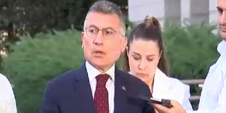 Sokak hayvanlarına ilişkin kanun teklifi Meclis Başkanlığına sunulacak