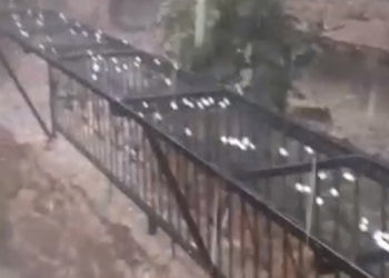 Adana Feke'de ceviz büyüklüğünde dolu yağdı