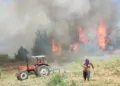 Adana kozan'da orman yangını
