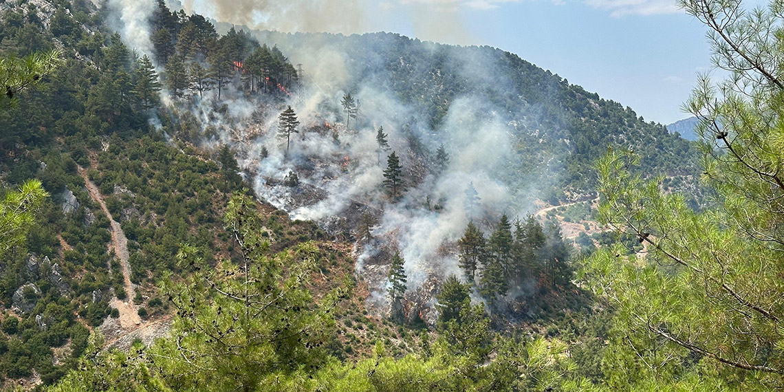 Adana'nın Feke ilçesinde orman yangını