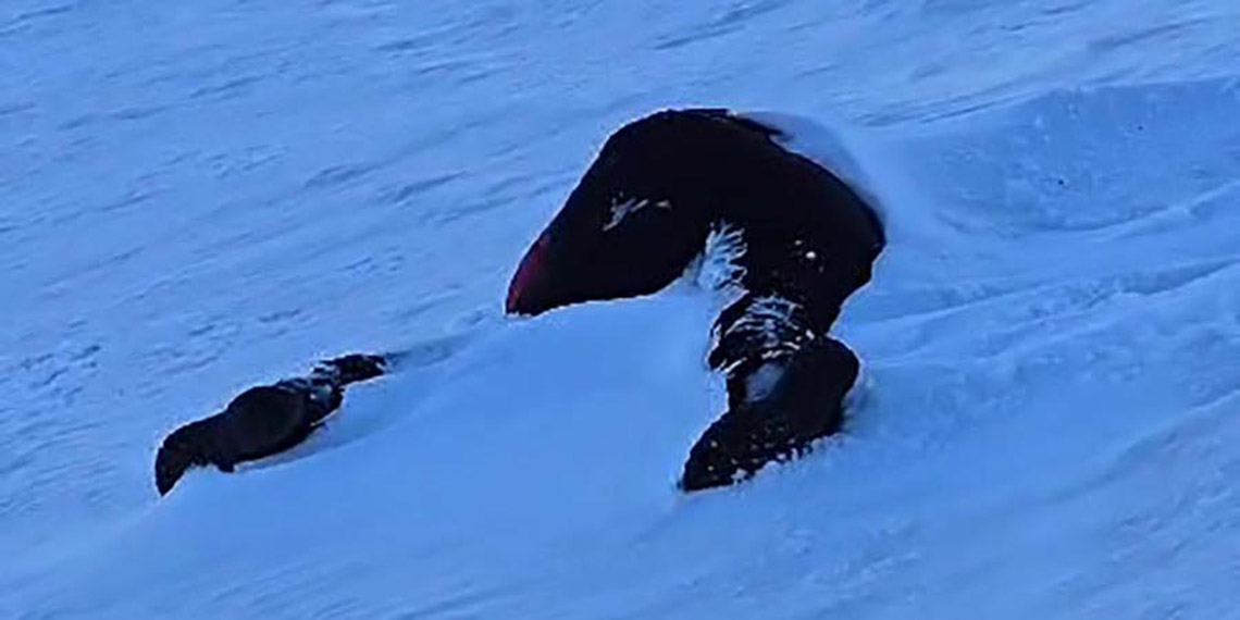 Ağrı Dağı'nda kaybolan 2 dağcı, donmuş halde bulundu