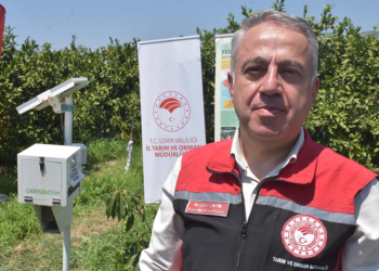 Akdeniz meyve sineğiyle mücadele
