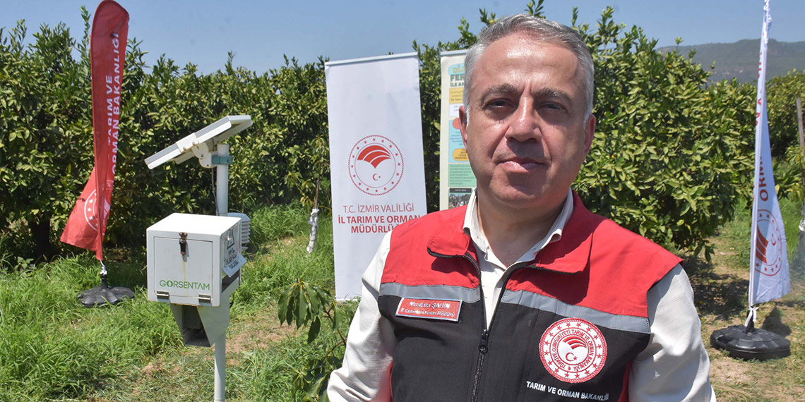 Akdeniz meyve sineğiyle mücadele