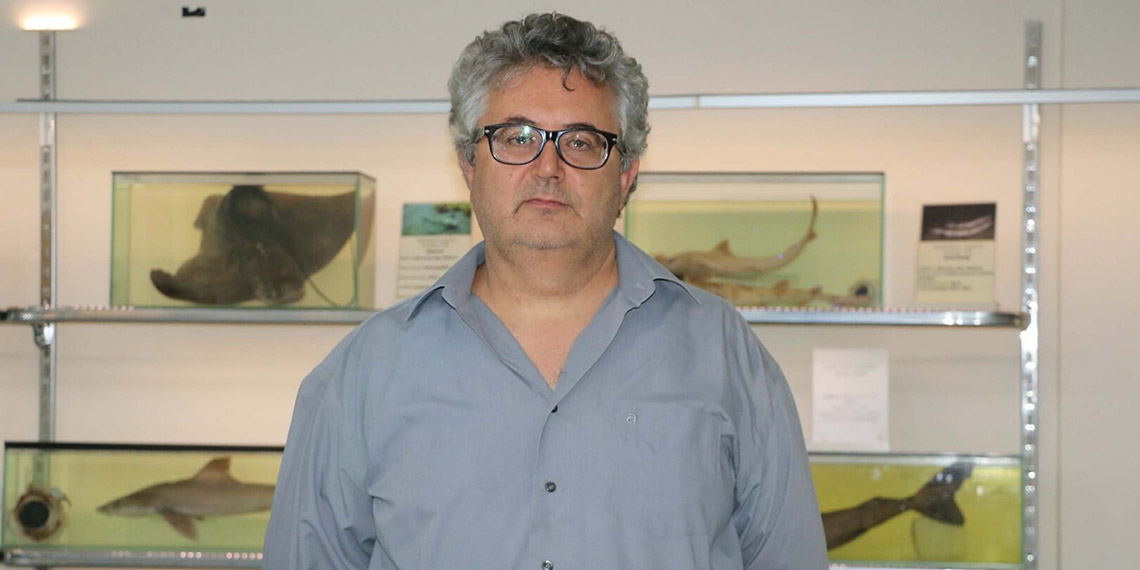 Akdeniz ve Ege'de yerli balıklar azaldı, egzotik türler çoğaldı