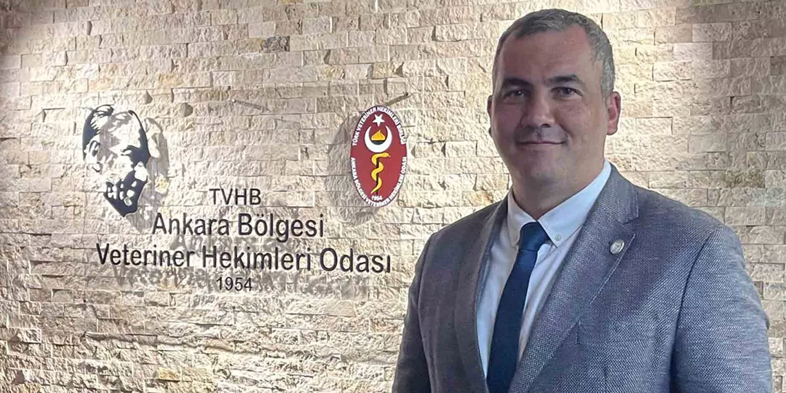 Ankara veterinerler odasindan ‘katliam yasasina tepkisd bilimsellikten uzak bir teklif - özel haber - haberton