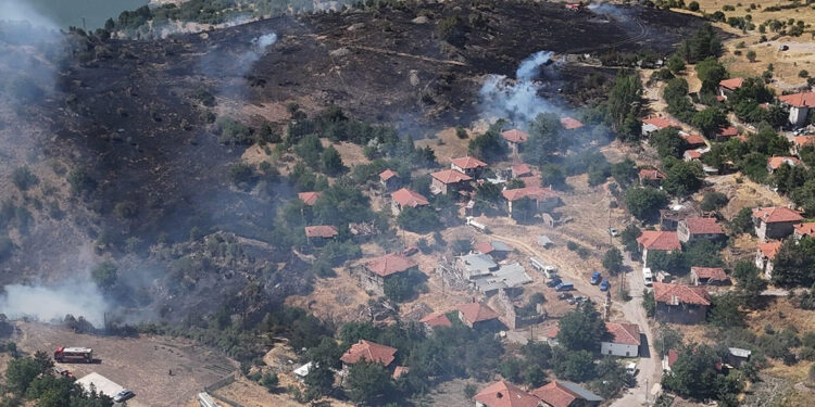 Ankara'da örtü yangınında 10 hektar alan zarar gördü