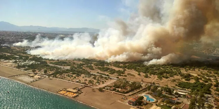 Antalya'daki orman yangınında 30 hektarlık alan zarar gördü