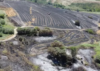 Arnavutköy'de tarım arazisine sıçrayan yangın söndürüldü